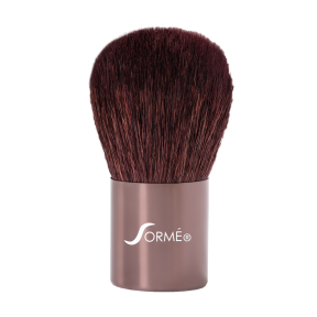 Professional Brushes (long-lasting brushes in natural or synthetic bristles)